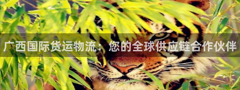 公海赌船平台网址
