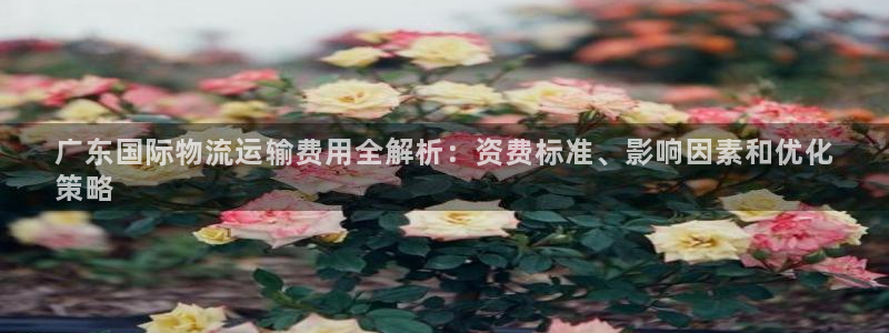 公海赌船