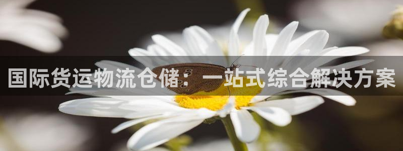 公海赌赌船
