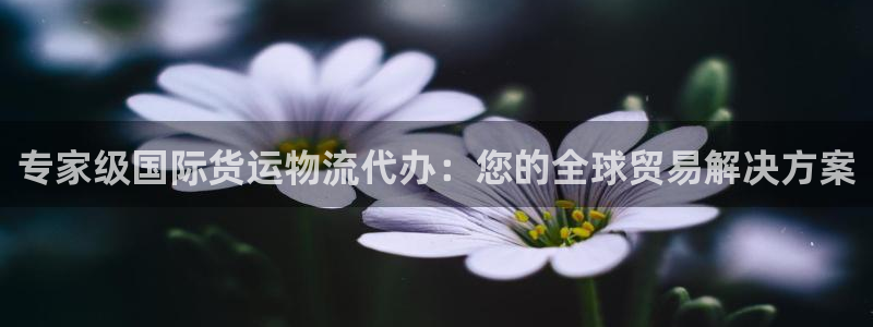 公海赌船平台