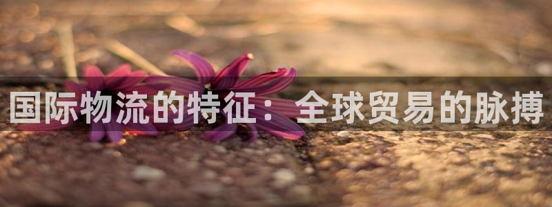 公海赌赌船555000cc