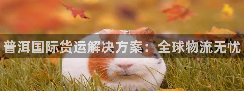 公海赌赌船官网欢迎您