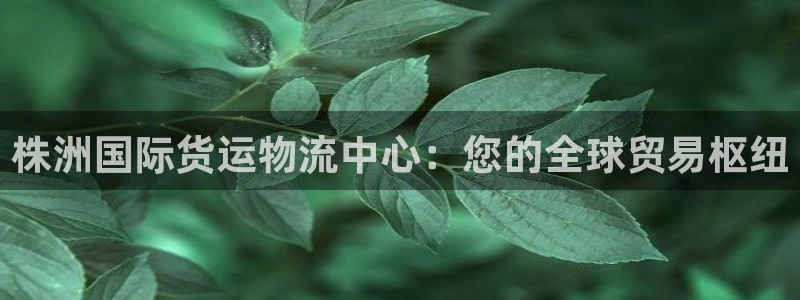 欢迎来到公海710线路是多少
