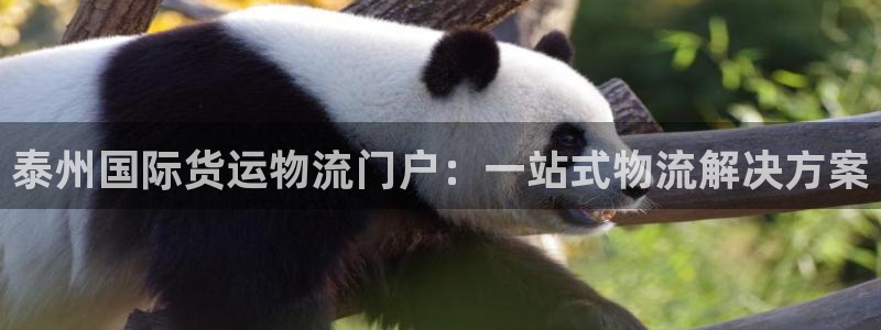 公海555000官网