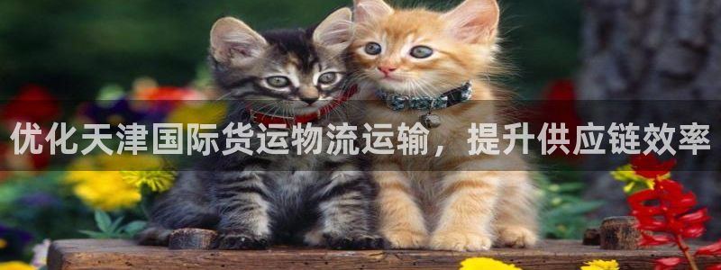 欢迎来到公海710官网