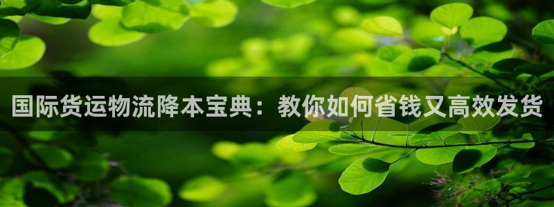 公海手机版710官网
