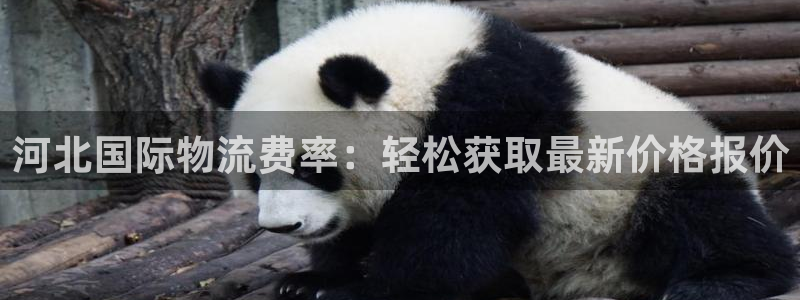 公海赌船平台网址