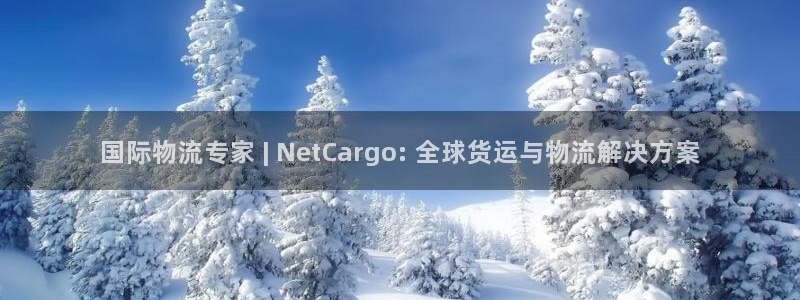 公海贵宾会员检测中心
