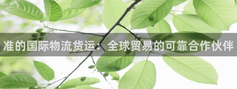 公海赌赌船官网登录网址